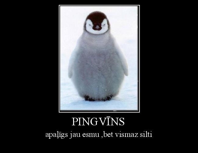  Autors: Fosilija pingvīns