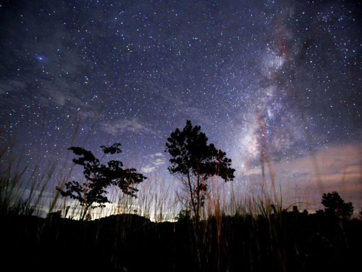 KAD UN KĀ SKATĪTIESScaronīgada... Autors: Fosilija Augusta zvaigžņu lietus solās būt viens no skaistākajiem pēdējos gados!