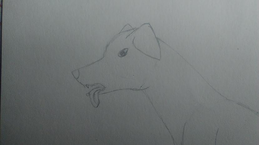 Tad galvu Autors: Baibiņa2002 Kā es zīmēju suni #2