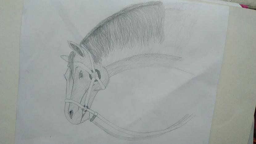 Scarono zirga galvu zīmēju... Autors: Baibiņa2002 Zīmējumi 14. daļa