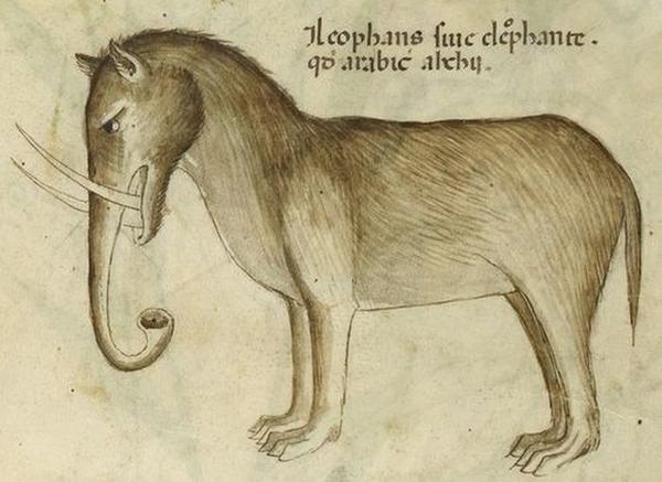  Autors: Fosilija Kā viduslaikos mākslinieki attēloja ziloņus?