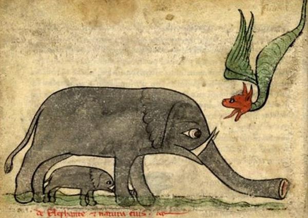  Autors: Fosilija Kā viduslaikos mākslinieki attēloja ziloņus?