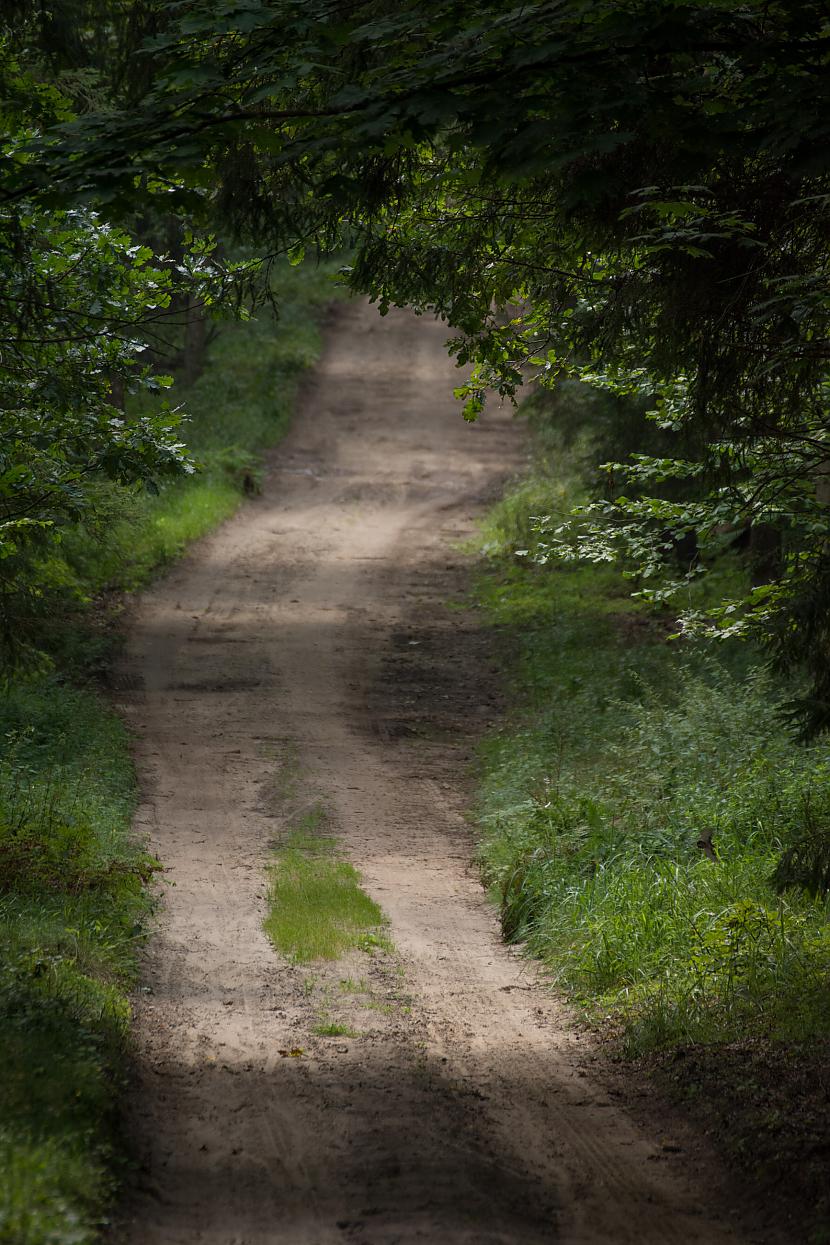  Autors: Liver Beloveža, Polija - nacionālais parks un rezervāts