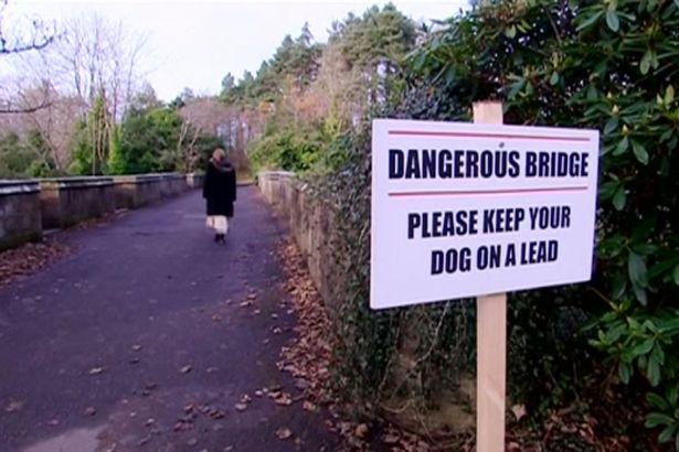 Līdz XX gs vidum tilts bija... Autors: Raziels Mīklaino suņu pašnāvību tilts