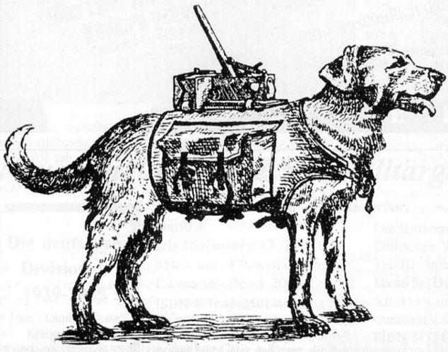 Kāpēc scaronis plāns... Autors: misticismo Suņi pašnāvnieki jeb prettanku suņi. Sarkanās armijas utopija.