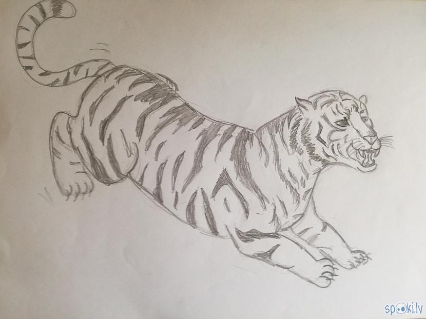 Tīģeris Cik aceros scaronito... Autors: InternetaVergs Vecie zīmējumi, kad vēl gāju skolā! #1