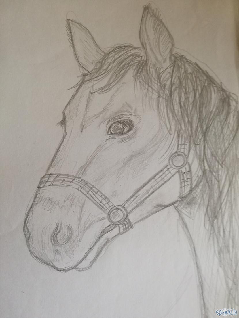 Zirga Galva tapis 10kl Autors: InternetaVergs Vecie zīmējumi, kad vēl gāju skolā! #3