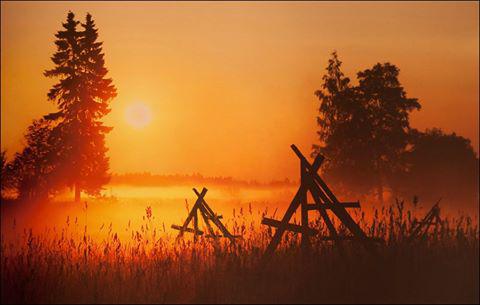Vienkārscarons skaistums Cēsu... Autors: Fosilija Latvija plaukst - 18. oktobris