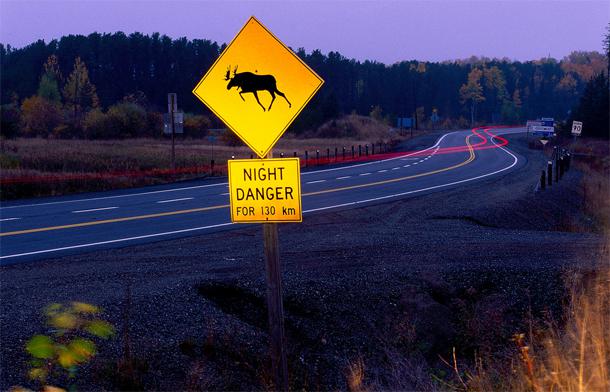 Uzmanieties no aļņiem Ontario... Autors: Ciema Sensejs Par kādiem dzīvniekiem brīdina pasaules ceļa zīmes?