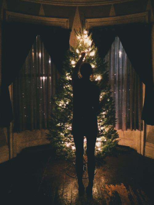 Autors: Fosilija Ziemas noskaņā #3