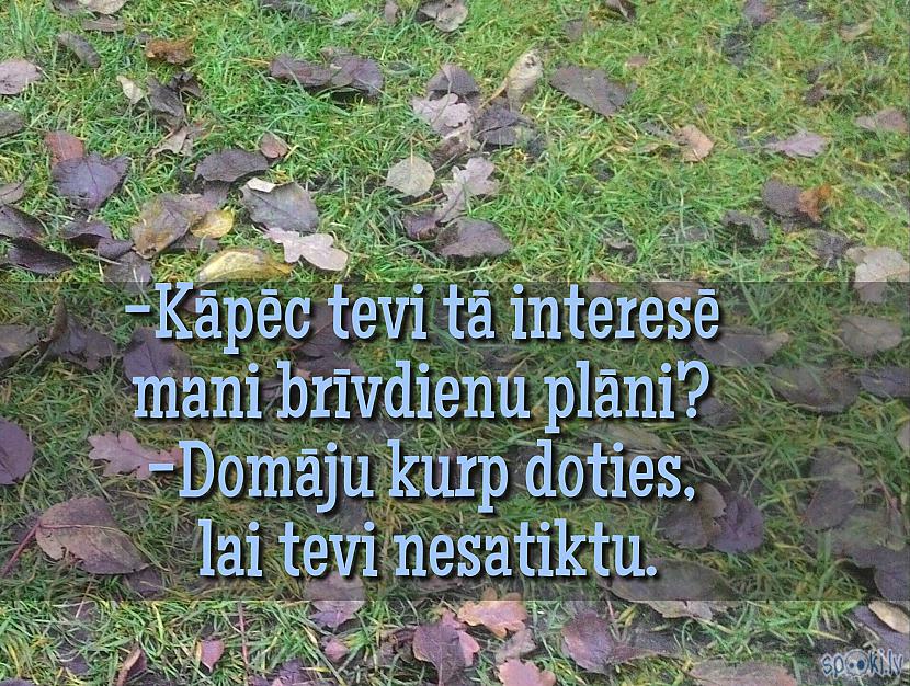 Autors: Kolch Spoki joko