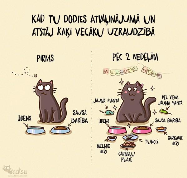  Autors: keepcalmandbeacat 20 jautri un patiesības pilni komiksi par dzīvi kopā ar kaķi...