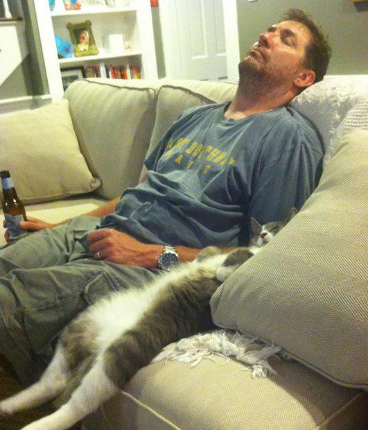 Kāds saimnieks tāds kaķis Autors: Ciema Sensejs 20+ kadri, kuri pierāda, ka kaķi var gulēt pilnīgi visur
