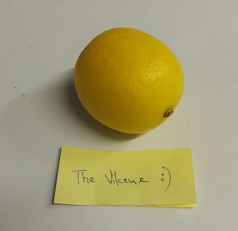  Autors: TheVilcene FS Citrons