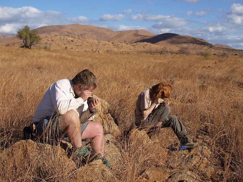Madagaskara Autors: BodyBoard Ģeologs - labākais darbs pasaulē?
