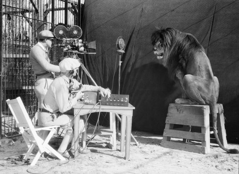 Lauva no kinostudijas MGM... Autors: 100 A 25 attēli, kas liek paskatīties uz dzīvi no citas puses.