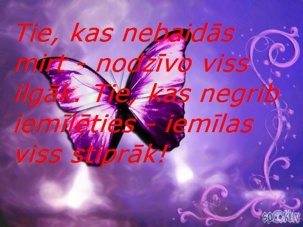  Autors: Altenzo Spoki joko