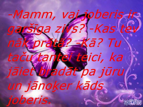  Autors: Altenzo Spoki joko