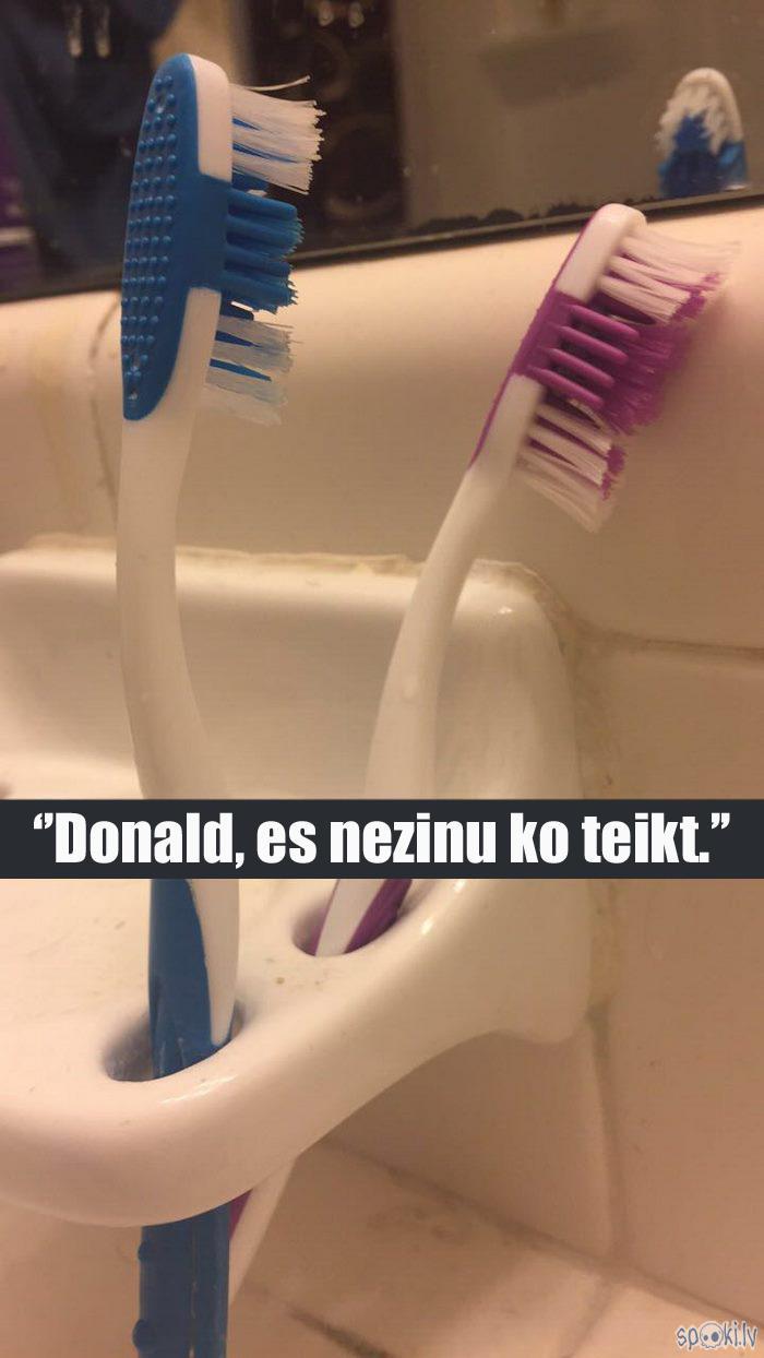  Autors: matilde Melānijas un Donalda Trampa mīlasstāsts jaunās skaņās