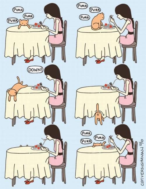 Tavs ēdiens ir arī viņa... Autors: kucēntiņš Ja vēlies iegādāties kaķi - izlasi (kaķu saimnieki sapratīs)