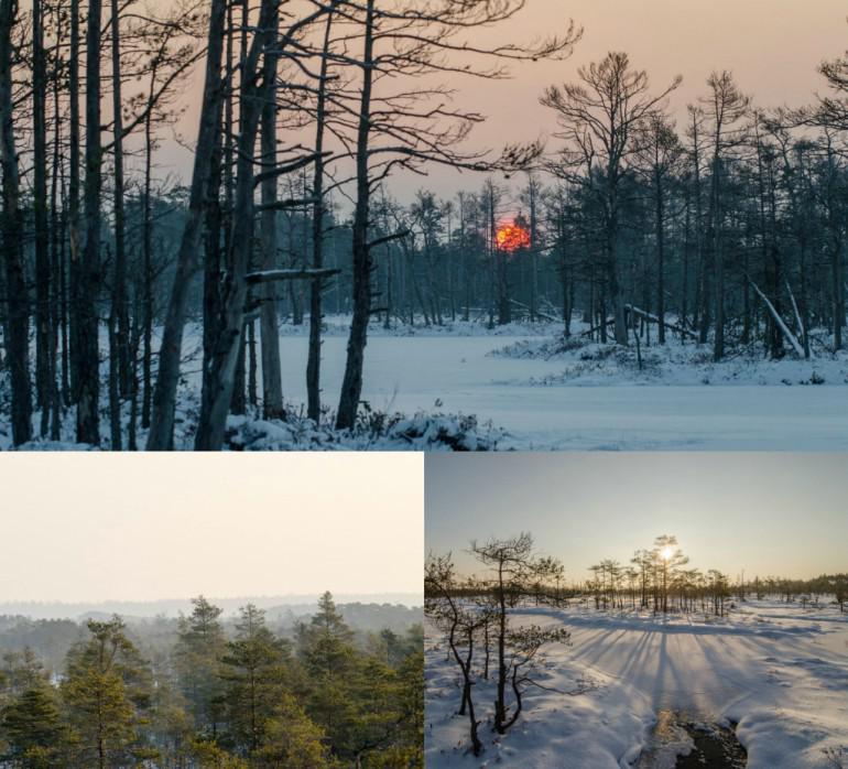 Cenas tīreļa purva takaKamēr... Autors: 100 A 20 fantastiskas vietas, uz kurām doties ārpus Rīgas ziemā. Foršs saraksts!