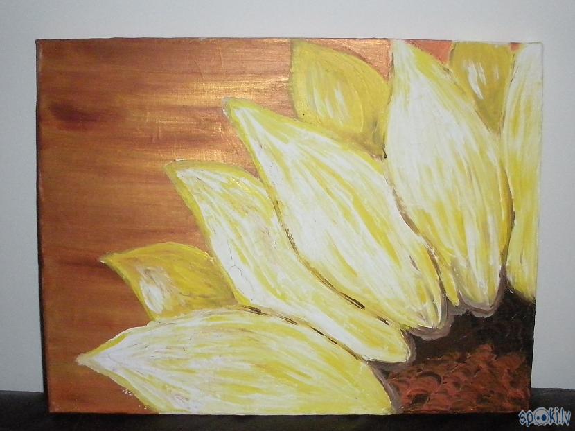 Saulespuķe Autors: aniii7 Dažas no manām gleznām