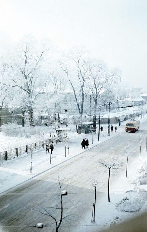 1962 gada ziema Gorkijas un... Autors: Emchiks Rīga sešdesmitajos (4)