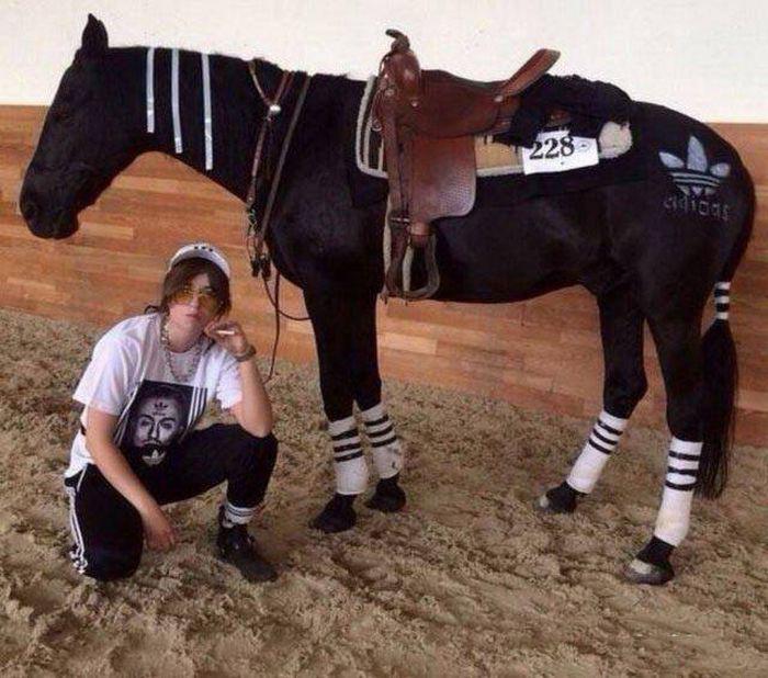 Čipots zirgs Sporta zirgs ar... Autors: Emchiks Iespējams tikai Krievijā 2