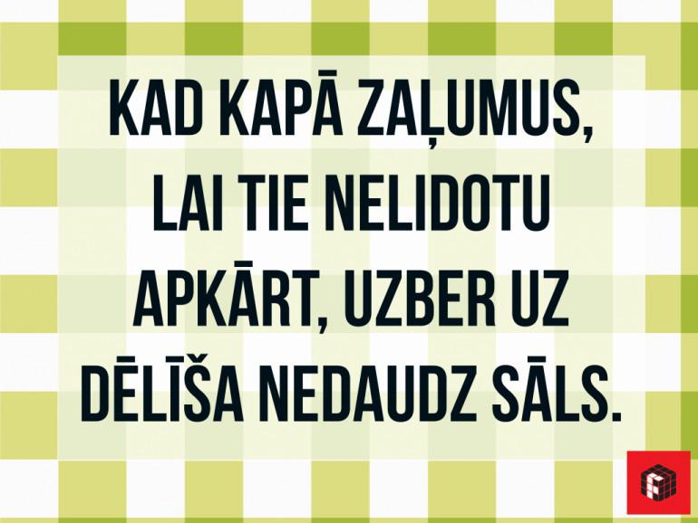  Autors: veldzivs 45 mazi, bet ļoti vērtīgi triki virtuvē. Atvieglo sev ikdienu!