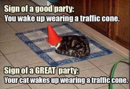  Autors: ProudBe Smieklīgie kaķi!