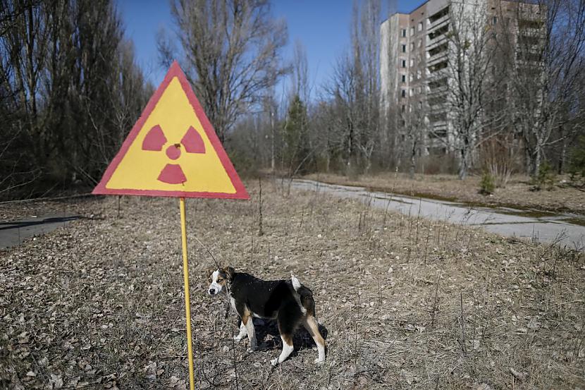 Autors: matilde Ir pagājis jau 31 gads kopš katastrofas Černobiļas AES!
