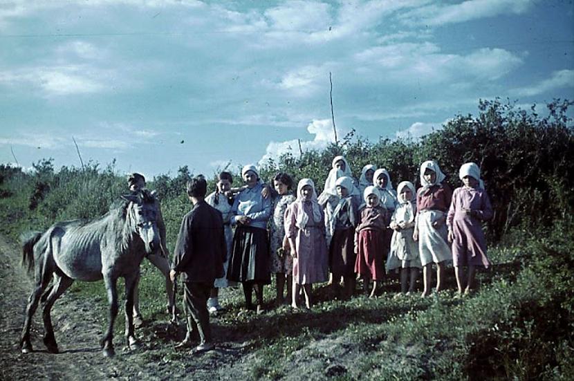 Belgorodas okupētā ciemata... Autors: Lestets Neticamas krāsainas bildes no 2. pasaules kara ikdienas