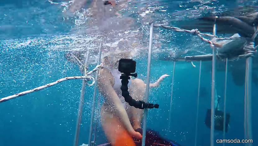 Camsodacom viceprezidents... Autors: KALENS NETICĒSI - Pornozvaigznei uzbrūk haizivs, kamēr tā filmē ainu zem ūdens!