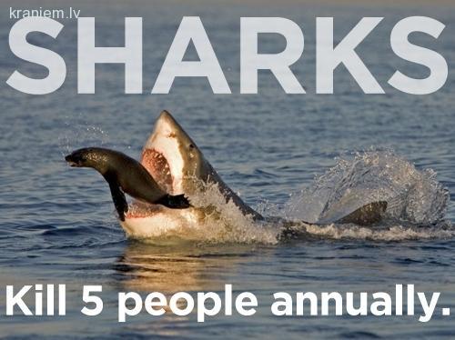 Un haizivis  nogalina 5... Autors: RenarsWest 20 Lietas, kas nogalina biežāk nekā haizivis.