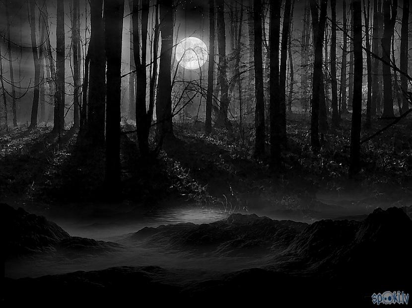  Autors: Spalvas tinte Šausmu stāsts: Tumšais mežs [1]