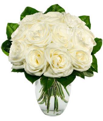 Baltas rozes var pasniegt arī... Autors: Diana Hemminga Baltās rozes