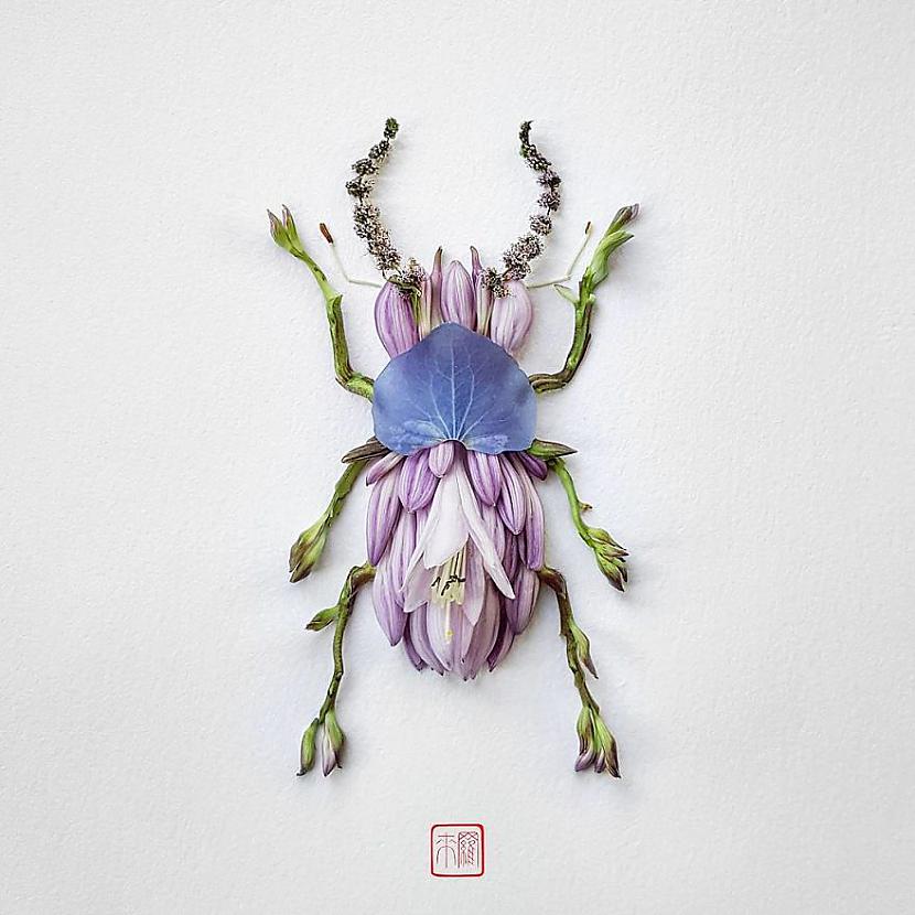  Autors: jaukumiņa No puķēm izveidoti kukaiņi.