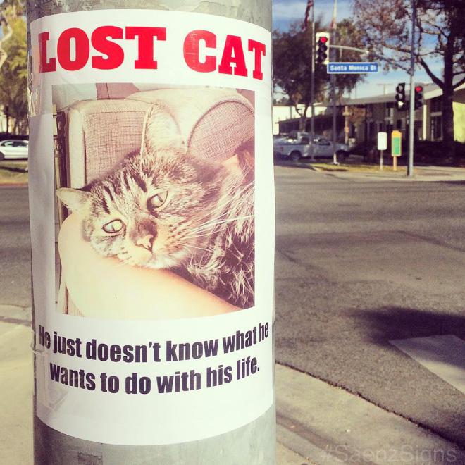 Pazudis kaķisViņscaron... Autors: Latvian Revenger Komiķis piepilda Kaliforniju ar lieliskiem viltus plakātiem