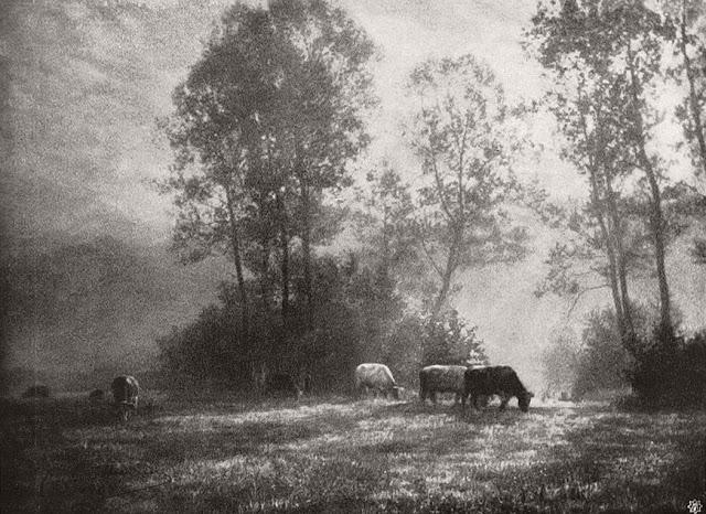  Autors: Lestets Fotogrāfija kā glezna - Leonarda Missone sapņainās ainavas