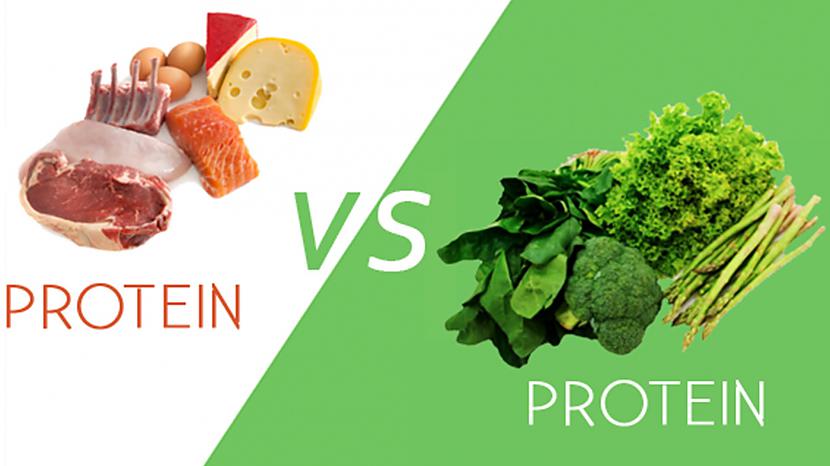 Pastāv mīts ka proteīnu var... Autors: FoxRio Proteīns - sports un veselība vai bizness?