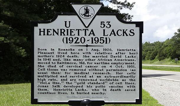 12 Henrieta Laksa Henrietta... Autors: AreYouFuckingKiddingMe Autoru kari 3. diena! 15 vēstures nenovērtētākie cilvēki.