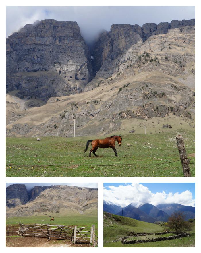 Dažās saimniecībās ir arī savi... Autors: Pēteris Vēciņš 1000 torņu un leģendu zeme Ingušija (2. daļa): Ingušijas Šveice Džeirahas aiza.