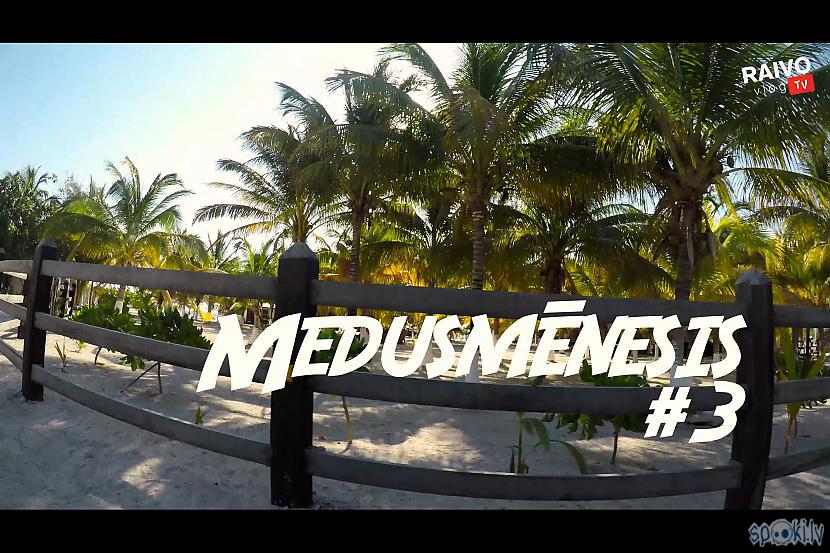  Autors: RAIVOvlogTV MEXICO | DODAMIES MEDUSMĒNESĪ! | 3. sērija | Vlog20 | 4k