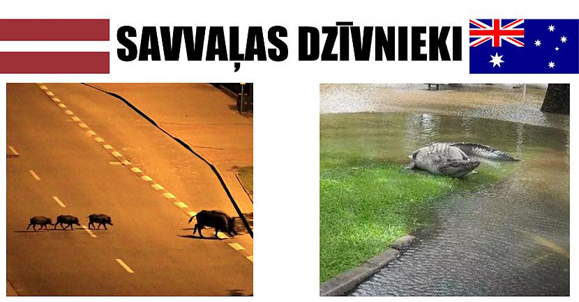  Autors: matilde 7 attēli, kuros skaidri saskatāma atšķirība starp dzīvi Latvijā un Austrālijā!