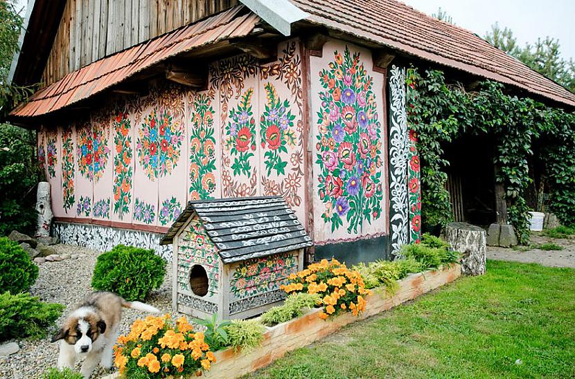 Scaronis skaisti spilgtais un... Autors: shnaps Mazais, puķainais Polijas ciematiņš