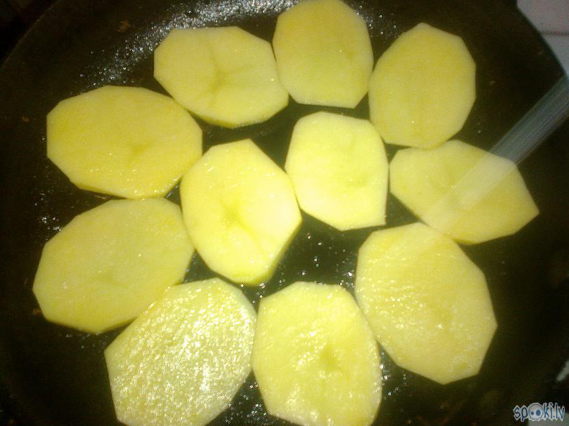 Kartupeļu scaronķēlītes... Autors: ezkins Tā gribās ēst, ka nav kur pārgulēt