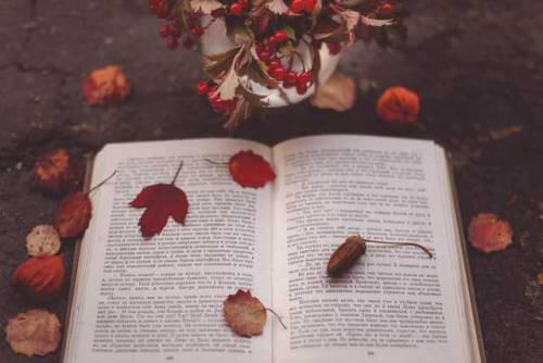 Autors: Fosilija Autumn #11