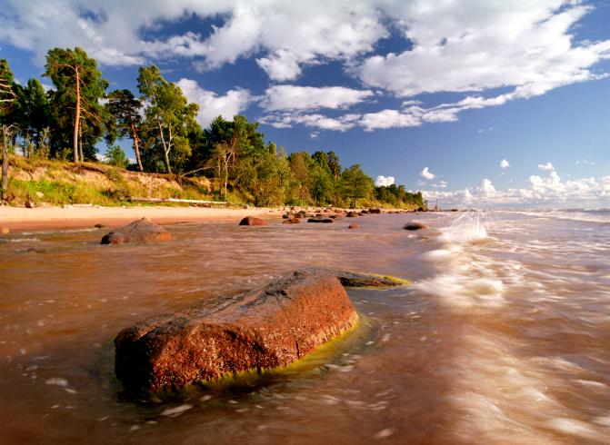  Autors: Fosilija Mūsu Latvija.