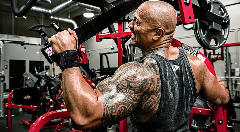 Labs Dwayne The Rock workout