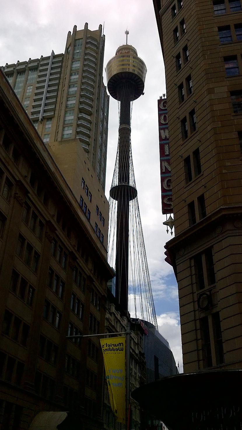  Autors: turistsr@speles Sidneja, agrā pavasarī! :)